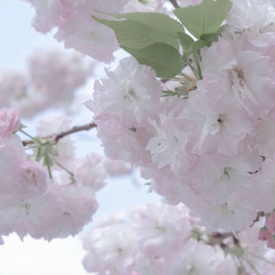 Furry插画构图思路Furry群